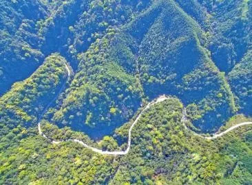 智能化，讓森林防火監(jiān)控管護(hù)更“智慧”